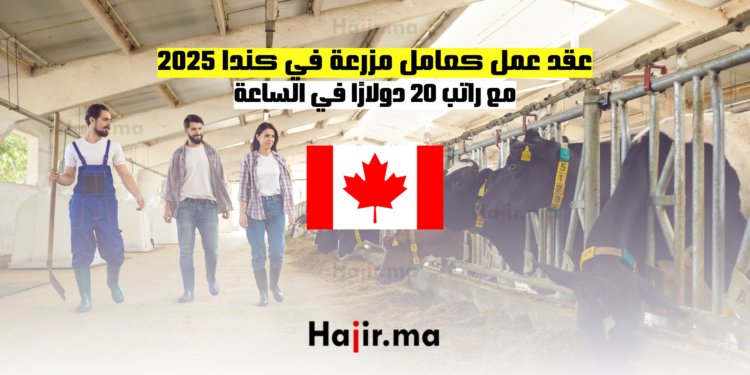 عقد عمل كعامل مزرعة في كندا 2025 مع راتب 20 دولارًا في الساعة