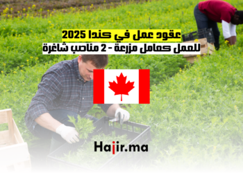 عقود عمل في كندا 2025 للعمل كعامل مزرعة ـ 2 مناصب شاغرة