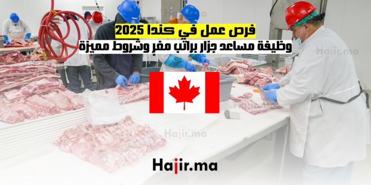 فرص عمل في كندا 2025 وظيفة مساعد جزار براتب مغرٍ وشروط مميزة