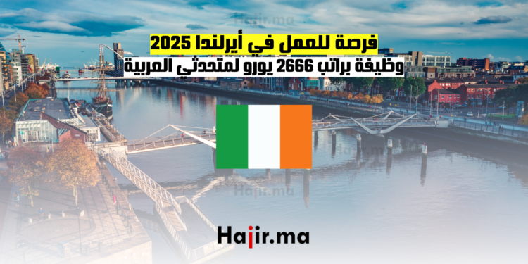 فرصة للعمل في أيرلندا 2025 وظيفة براتب 2666 يورو لمتحدثي العربية