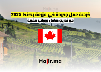 فرصة عمل جديدة في مزرعة بكندا 2025 مع تدريب كامل ورواتب مغرية
