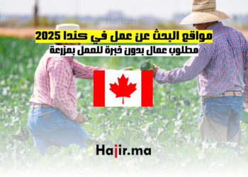 مواقع البحث عن عمل في كندا 2025 مطلوب عمال بدون خبرة للعمل بمزرعة