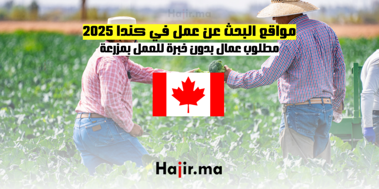 مواقع البحث عن عمل في كندا 2025 مطلوب عمال بدون خبرة للعمل بمزرعة