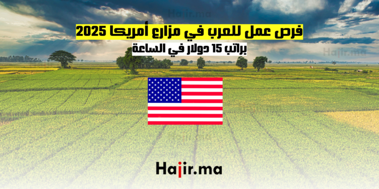 فرص عمل للعرب في مزارع أمريكا 2025 براتب 15 دولار في الساعة
