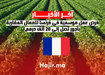 فرص عمل موسمية في فرنسا للعمال المغاربة بأجور تصل إلى 20 ألف درهم.