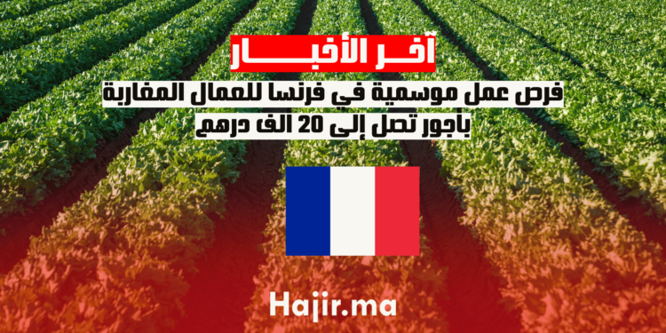 فرص عمل موسمية في فرنسا للعمال المغاربة بأجور تصل إلى 20 ألف درهم.