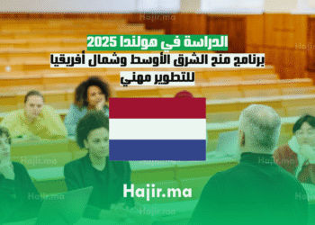 الدراسة في هولندا 2025 برنامج منح الشرق الأوسط وشمال أفريقيا للتطوير مهني