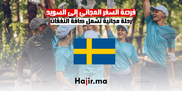 فرصة السفر المجاني إلى السويد رحلة مجانية تشمل كافة النفقات