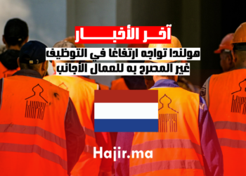 هولندا تواجه ارتفاعًا في التوظيف غير المصرح به للعمال الأجانب