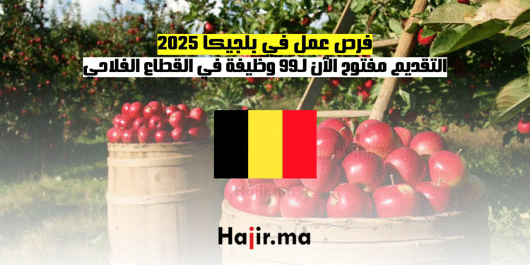 فرص عمل في بلجيكا 2025 التقديم مفتوح الآن لـ99 وظيفة في القطاع الفلاحي