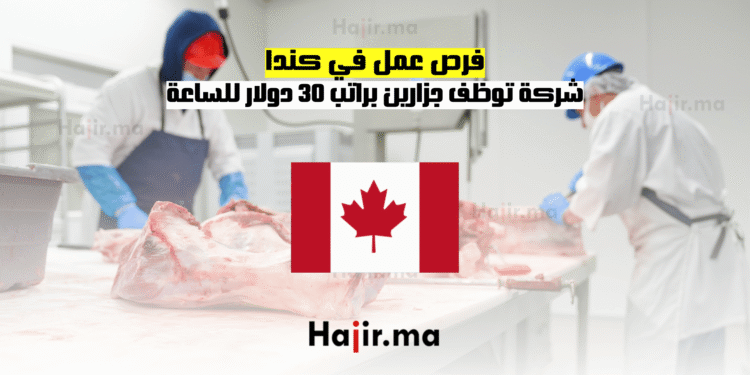 فرص عمل في كندا شركة توظف جزارين براتب 30 دولار للساعة