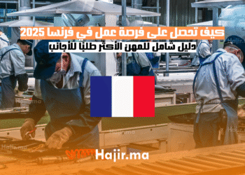 كيف تحصل على فرصة عمل في فرنسا 2025 دليل شامل للمهن الأكثر طلبًا للأجانب