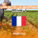 كيفية الحصول على عقد عمل فلاحي في فرنسا 2025
