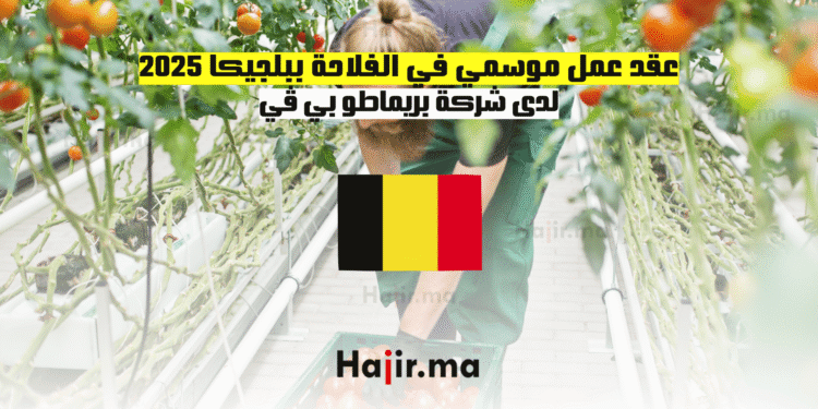 عقد عمل موسمي في الفلاحة ببلجيكا 2025 لدى شركة بريماطو بي ڤي