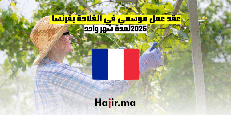 عقد عمل موسمي في الفلاحة بفرنسا 2025 لمدة شهر واحد (1)