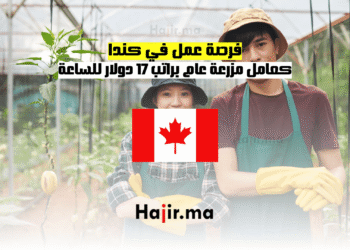 فرصة عمل في كندا كعامل مزرعة عام براتب 17 دولار للساعة