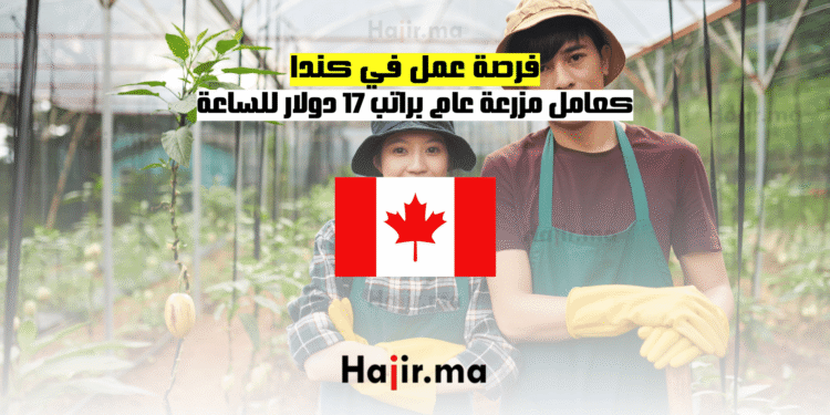 فرصة عمل في كندا كعامل مزرعة عام براتب 17 دولار للساعة