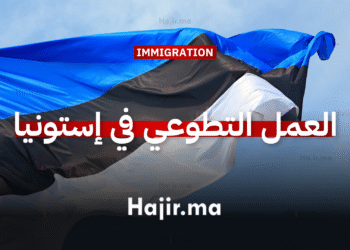 العمل التطوعي في أوروبا إستونيا تبحث عن متطوعين للمشاركة في برنامج شامل التمويل