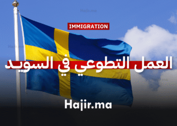 العمل التطوعي في السويد لمدة 6 أشهر