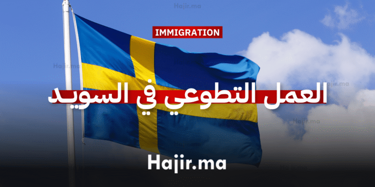 العمل التطوعي في السويد لمدة 6 أشهر
