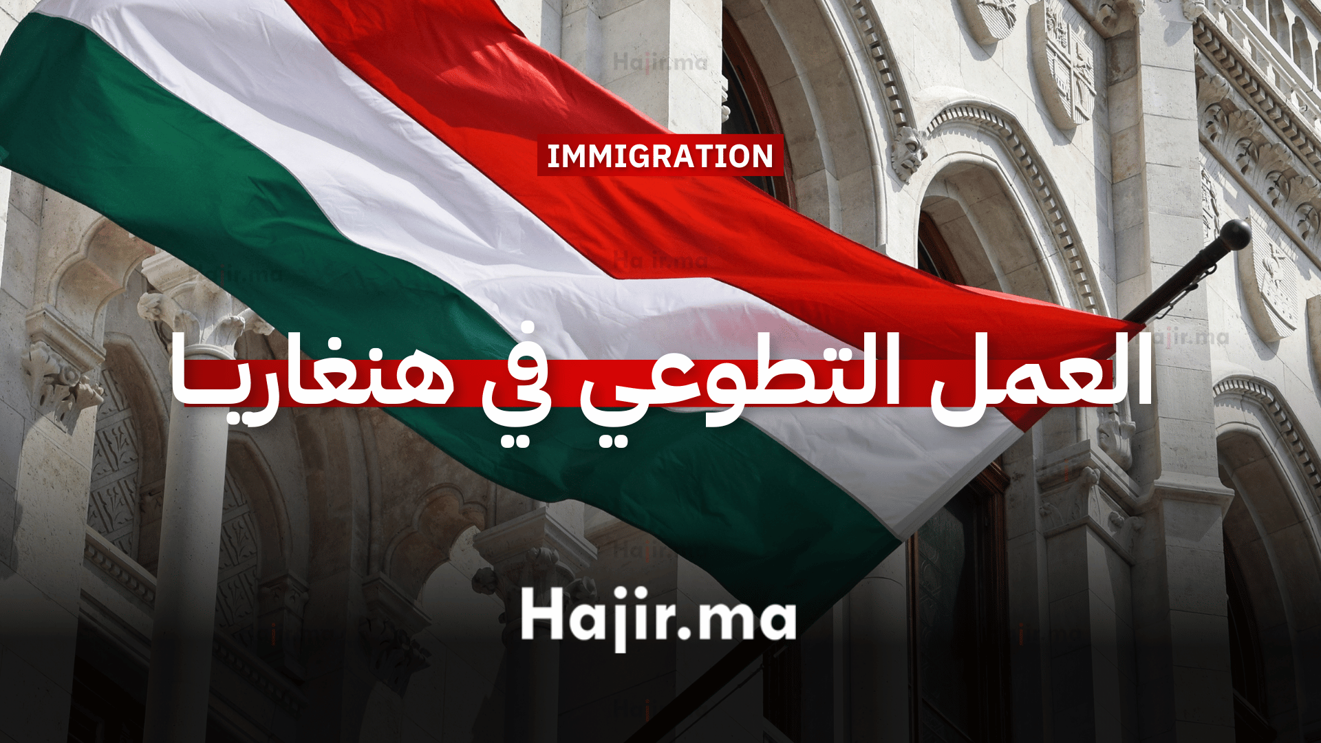 العمل التطوعي في هنغاريا (1)