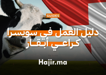 دليل العمل في سويسرا كراعي أبقار برواتب مجزية