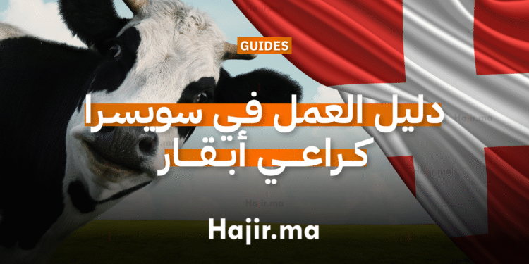 دليل العمل في سويسرا كراعي أبقار برواتب مجزية