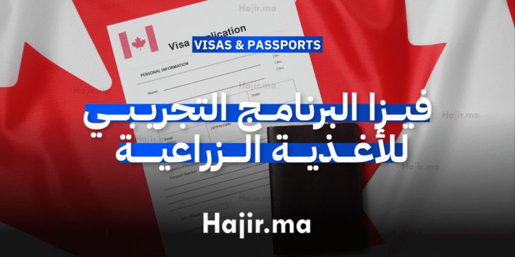 فيزا البرنامج التجريبي للأغذية الزراعية