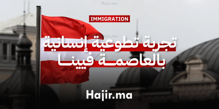 العمل التطوعي في النمسا تجربة تطوعية إنسانية ممولة بفيينا