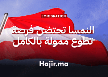 العمل التطوعي في أوروبا النمسا تحتضن فرصة تطوع ممولة بالكامل