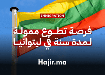 العمل التطوعي في أوروبا فرصة تطوع ممولة بالكامل لمدة سنة في ليتوانيا