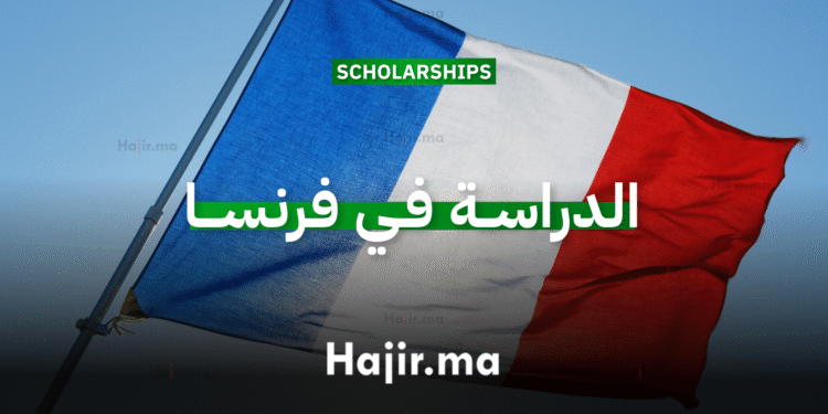 الدراسة في هولندا عبر منح جامعة ماستريخت بتمويل كامل (2)