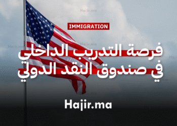 فرصة التدريب الداخلي الصيفي في صندوق النقد الدولي بتمويل شامل
