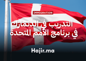 فرصة التدريب في الدنمارك في برنامج الأمم المتحدة الإنمائي مع مكافأة شهرية