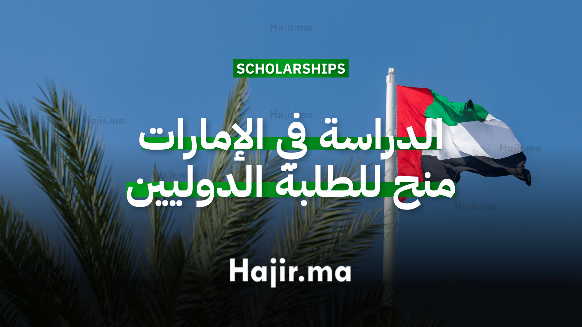 الدراسة في الإمارات منح جامعية ممولة بالكامل للطلبة الدوليين 2026