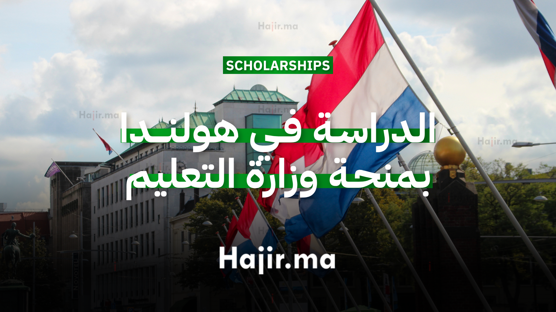 الدراسة في هولندا بمنحة جامعية مقدمة من وزارة التعليم والثقافة الهولندية