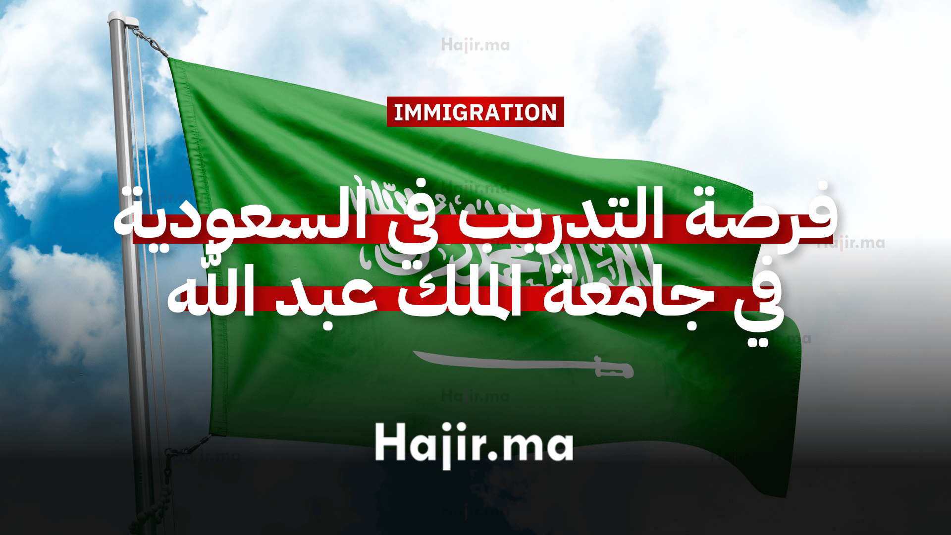 فرصة التدريب الداخلي في السعودية في جامعة الملك عبد الله