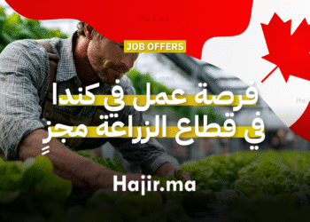 فرصة عمل في كندا في قطاع الزراعة كعامل مزرعة خضروات وفواكه مع راتب مجزٍ