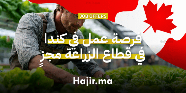 فرصة عمل في كندا في قطاع الزراعة كعامل مزرعة خضروات وفواكه مع راتب مجزٍ