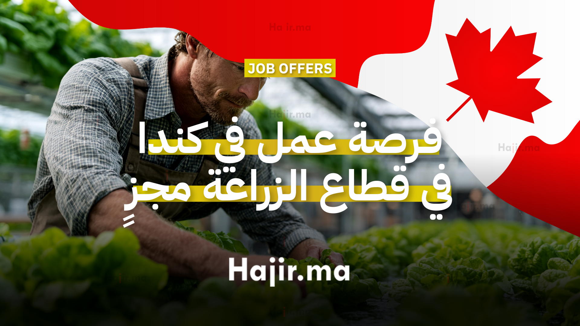 فرصة عمل في كندا في قطاع الزراعة كعامل مزرعة خضروات وفواكه مع راتب مجزٍ