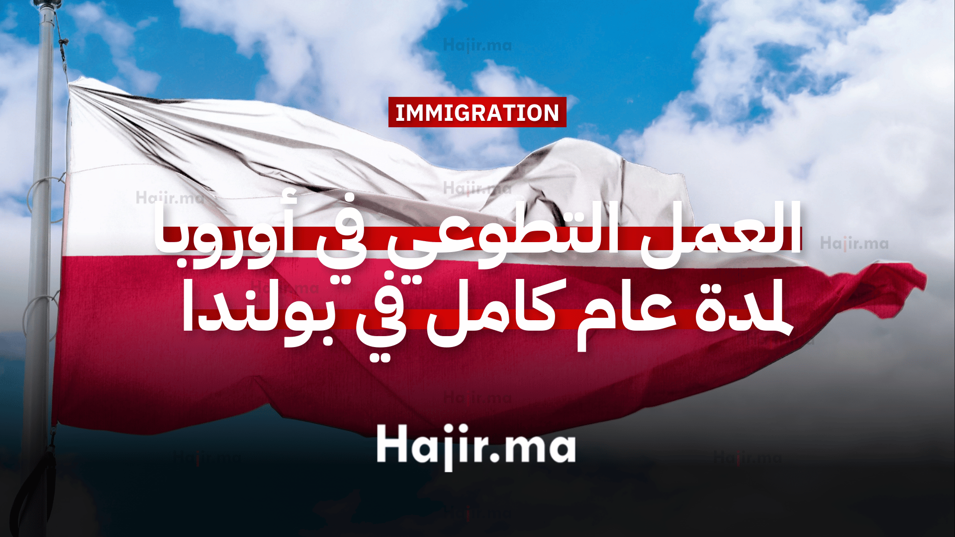 العمل التطوعي في أوروبا لمدة عام كامل في بولندا ضمن مشروع مجتمعي