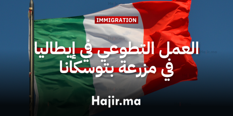 العمل التطوعي في إيطاليا فرصة تطوع في مزرعة إيكولوجية بتوسكانا 2026