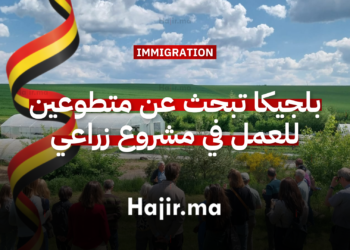 بلجيكا تبحث عن متطوعين لسنة 2026 للعمل في مشروع زراعي مستدام