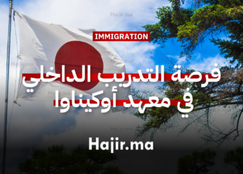فرصة التدريب الداخلي في معهد أوكيناوا للعلوم والتكنولوجيا باليابان 2026
