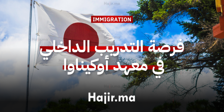 فرصة التدريب الداخلي في معهد أوكيناوا للعلوم والتكنولوجيا باليابان 2026