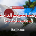 فرصة التدريب الداخلي في معهد أوكيناوا للعلوم والتكنولوجيا باليابان 2026