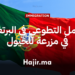 فرصة العمل التطوعي في البرتغال في مزرعة للخيول بسيركال دو ألينتيجو