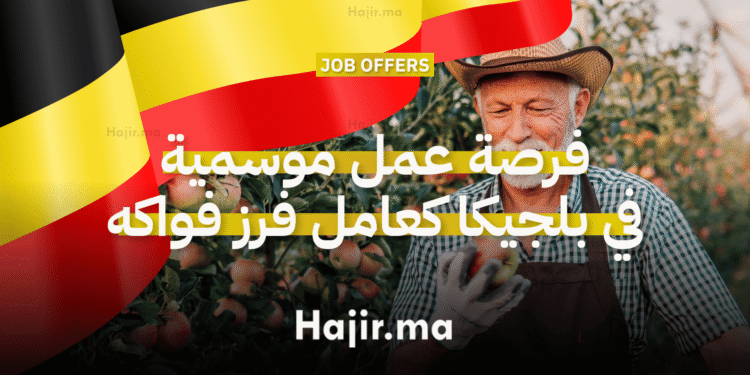 فرصة عمل موسمية في بلجيكا كعامل فرز فواكه