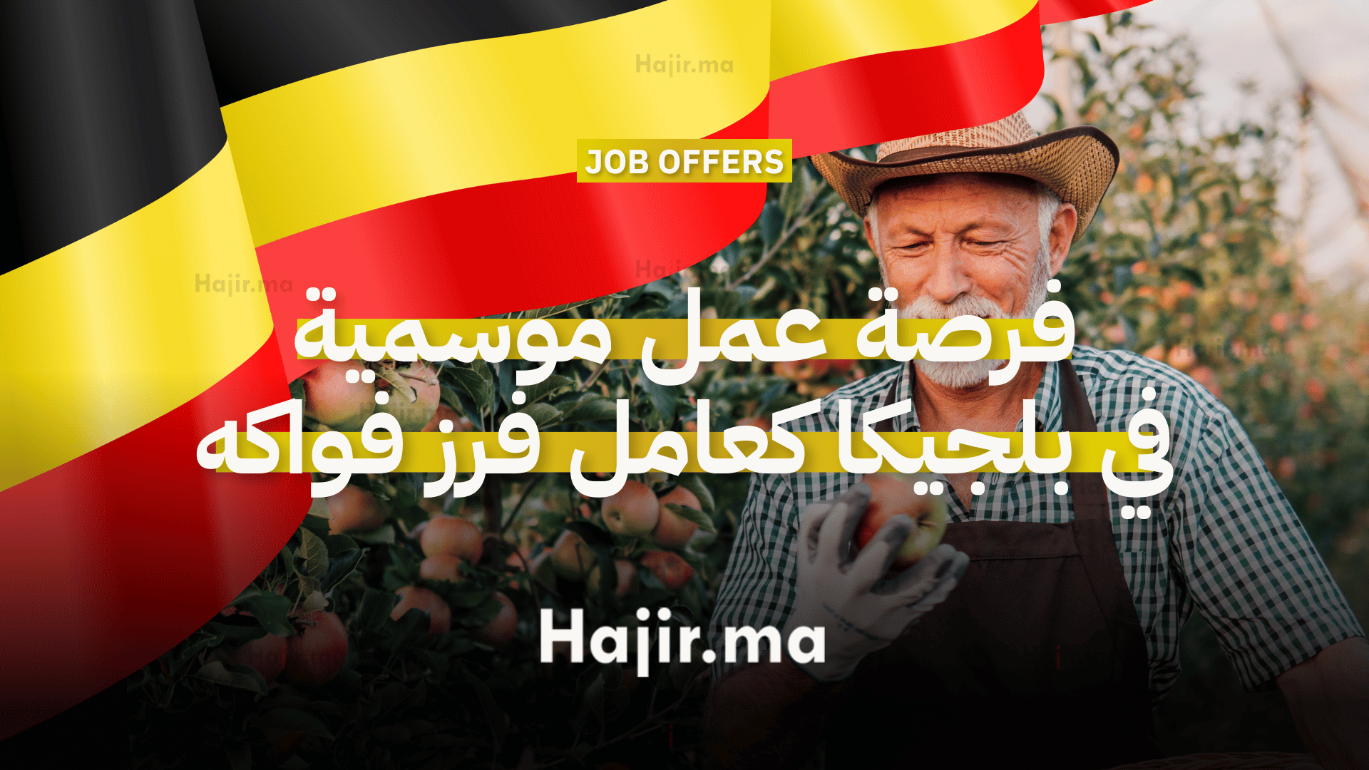 فرصة عمل موسمية في بلجيكا كعامل فرز فواكه