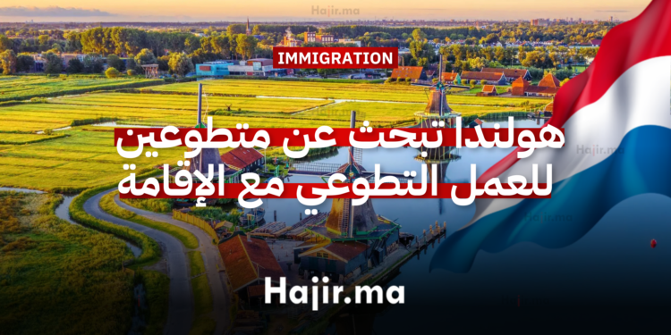 هولندا تبحث عن متطوعين 2026 للعمل التطوعي مع الإقامة